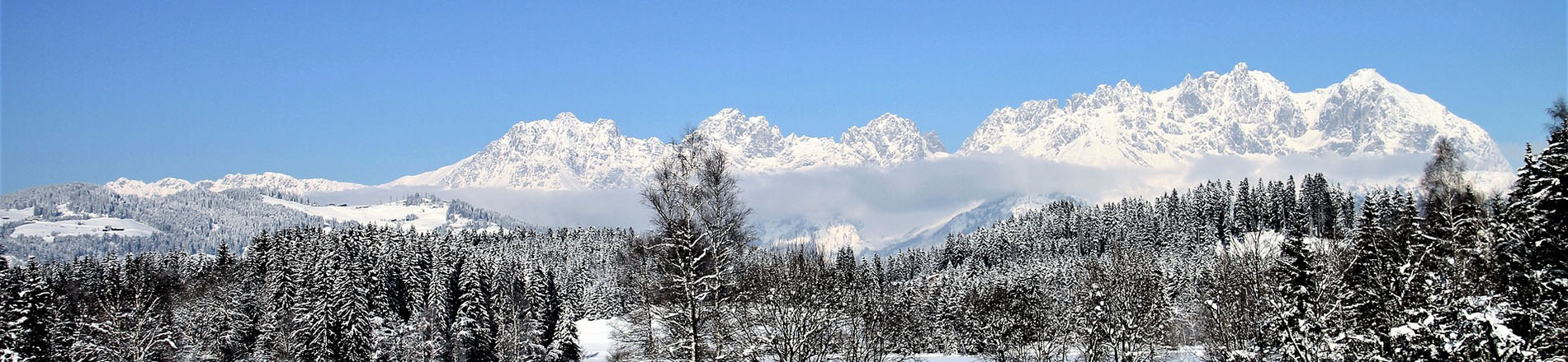 Startseite Winter